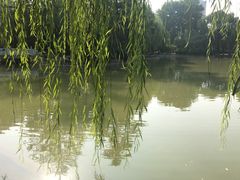 -西安市长乐公园