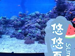 -成都浩海立方海洋公园