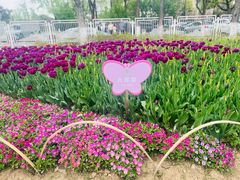 -玄武湖景区-情侣园游乐场