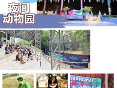 -清迈夜间动物园