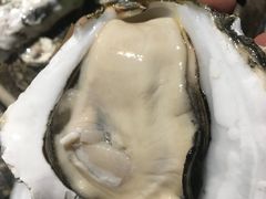 土蚝招牌烧蚝-土蚝·高压锅生蚝(百姓美食街店)