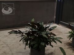 -隹木咖啡馆(宝龙广场店)