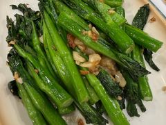 猪油渣生炒手工菜心-粤·向群饭店(泮塘路店)