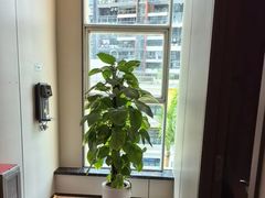 -通透堂中医·精准推拿(旗舰店)
