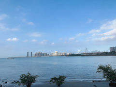-万绿园