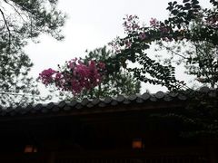 android_upload_pic-唐风温泉