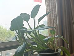 -山东八大碗山东老字号