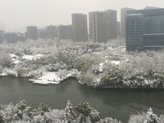 -运河游船(武林门码头)