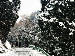 -白水寺森林公园