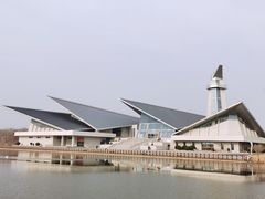 -盐城丹顶鹤湿地生态旅游区