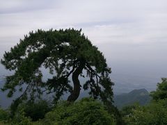 -终南山国家森林公园