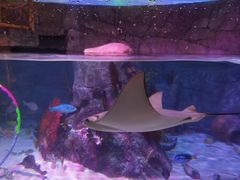 -沈阳海洋探索中心