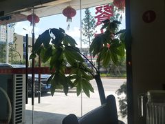 -品雅轩农家乐