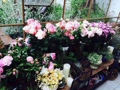 -RGF(巨鹿路店)