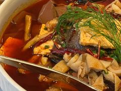-洋洋中餐馆·SINCE 1997(信投店)