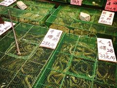 -荔城生鲜盛宴(番禺旗舰店)