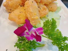 -三猫黑鱼花(南大店)