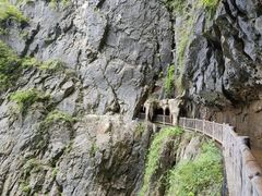 -塔云山