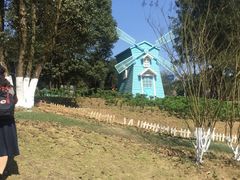 -铁山坪森林公园