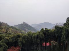 -莫干山风景区