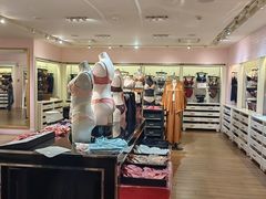 -Victoria's Secret(杭州湖滨银泰in77店)