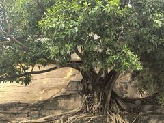 -鹅岭公园瞰胜楼