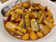 辣烧活鳗林-开海·红岛海鲜虾水饺(八大关店)