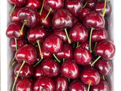 -堤口果品批发市场