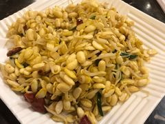 炝炒黄豆芽-燕青小馆(东园大厦店)