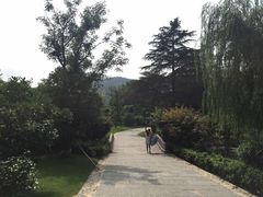 -习家池