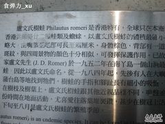 -南丫岛
