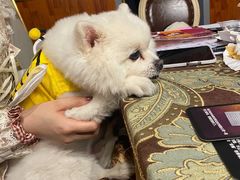 -伽利略剧本探案馆(国贸店)