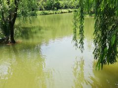 -中国美术学院象山校区-民艺博物馆