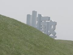 -荷兰花海