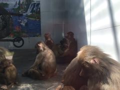 -西安秦岭野生动物园