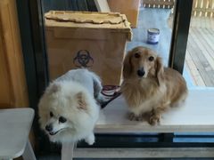 -爱侣宠医·鹦鹉专科·小型哺乳类·异宠专科(灵石路店)