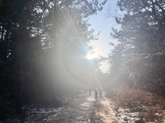 -帽儿山国家森林公园