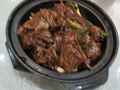 -鹅城