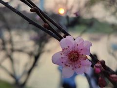 -黄兴公园