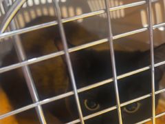 -瑞派宠物医院·24h·骨外科·皮肤科·全科宠物医疗转诊中心(沈阳浑南院)