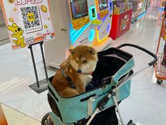 -半天妖烤鱼(和平印象城店)