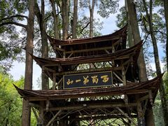 -青城山