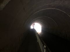 -白水寺森林公园