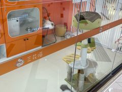 -三花喵·撸猫购宠·宠物生活馆(虹桥南丰城店)