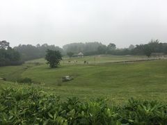 -保利石象湖景区
