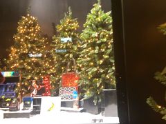 -乐蓬马歇百货公司(Rive Gauche)