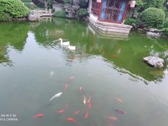 -祝家花園(伯渎港店)
