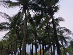 -深圳湾公园(南山区)