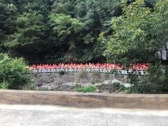 -将军关探险漂流