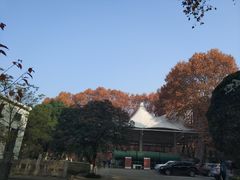 -紫金山天文台